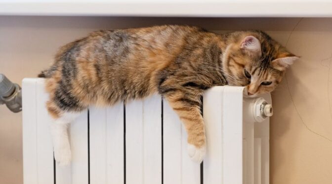 Вінницька міська рада повідомила про тимчасові відключення води, опалення та електроенергії