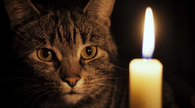 Оновлений графік погодинних відключень світла на Полтавщині