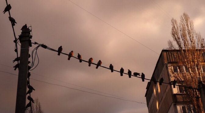 Зміни у графіку відключень електроенергії на Кіровоградщині