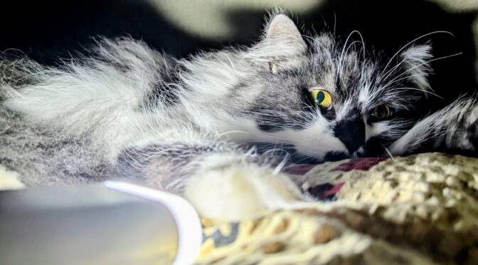 Графіки погодинних відключень: що відомо про Миколаївщину 18 лютого