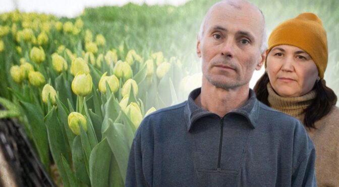 Винахідливий Обігрів Теплиць: Як Вінничанин Бореться з Морозами та Відключеннями