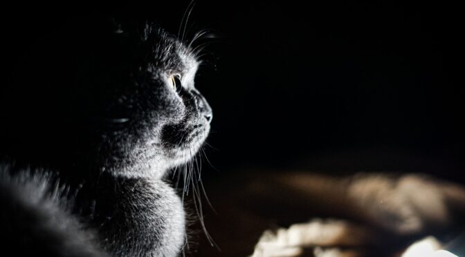 Зупинка електроенергопостачання у Миколаївській області 19 березня: Оновлено