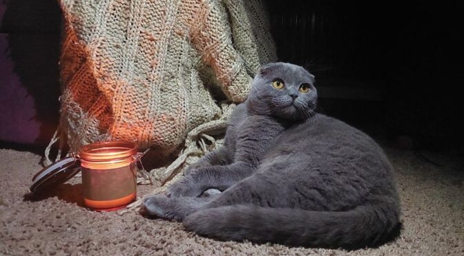 Черкащина: Графік погодинних відключень світла опублікований ‘Черкасиобленерго’