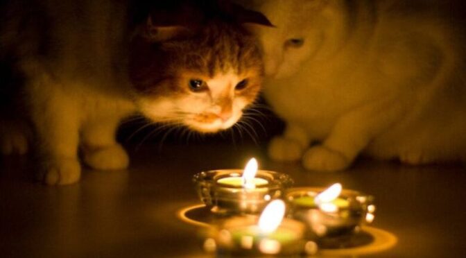 В Полтавській області оновили графіки відключення електроенергії на 8 березня