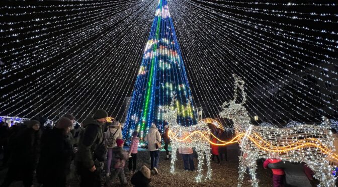 Витрати на Новорічну Илюминацию и Ёлку в Полтаве