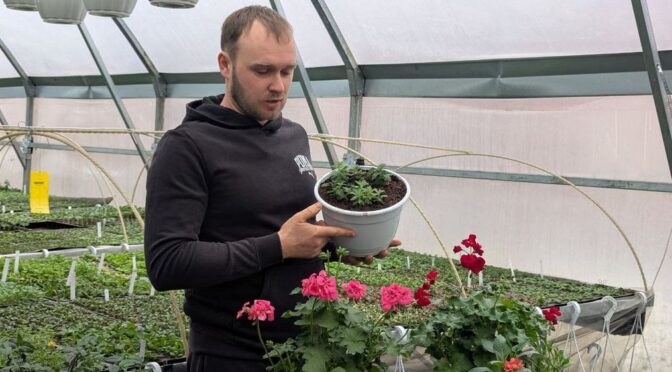 Волинський підприємець розширює бізнес з вирощування квітів у теплицях