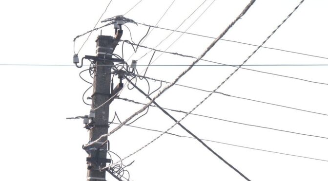 Негода на Полтавщині спричинила аварійні відключення світла 24 квітня