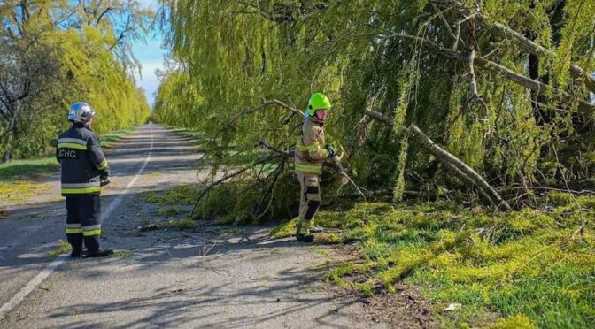 Негода на Київщині: без електропостачання залишаються 20 тисяч родин