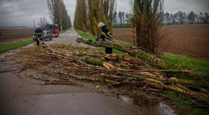 Негода на Київщині залишила без світла майже 60 тисяч споживачів