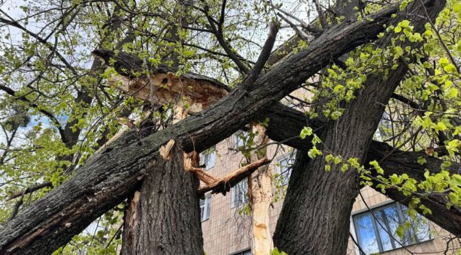 Негода на Полтавщині спричинила відключення світла та аварійні виїзди рятувальників