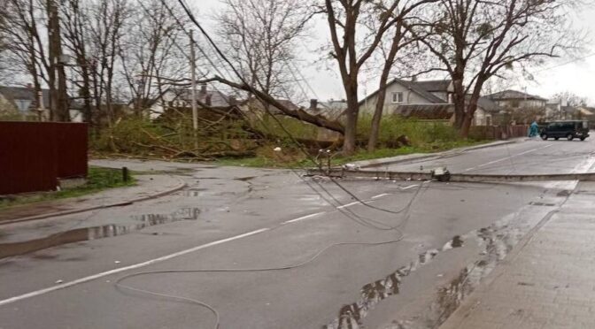 Внаслідок негоди у Львівській області без електроенергії залишилося 94 населені пункти