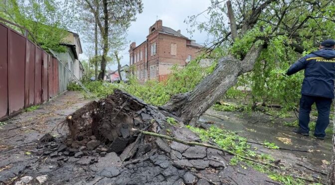 Негода залишила без світла пів сотні населених пунктів на Кіровоградщині
