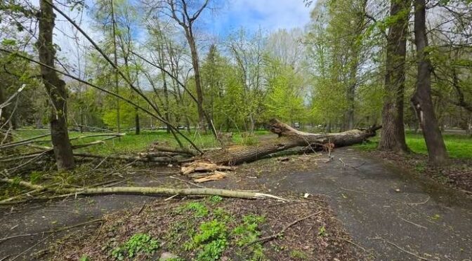 Негода спричинила аварійні відключення світла на Хмельниччині